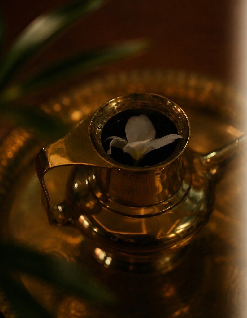 Pranamaya Herbal Healing